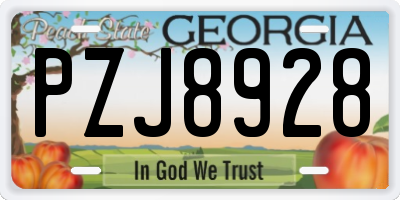 GA license plate PZJ8928
