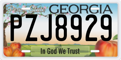 GA license plate PZJ8929