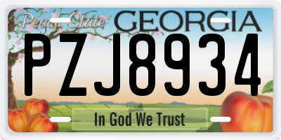 GA license plate PZJ8934