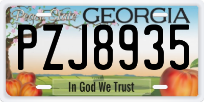 GA license plate PZJ8935