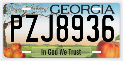 GA license plate PZJ8936