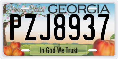 GA license plate PZJ8937