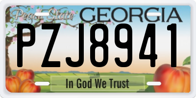 GA license plate PZJ8941