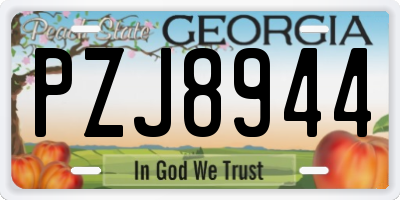 GA license plate PZJ8944