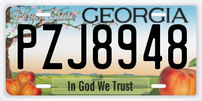 GA license plate PZJ8948
