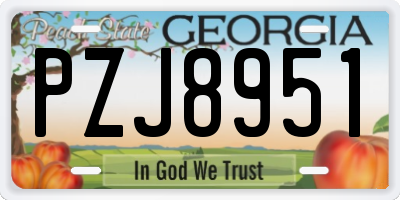 GA license plate PZJ8951