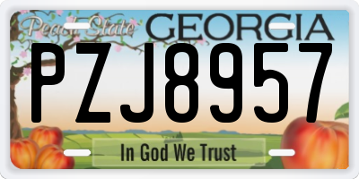 GA license plate PZJ8957