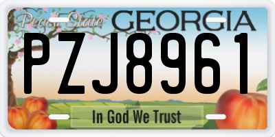 GA license plate PZJ8961