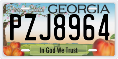 GA license plate PZJ8964