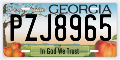 GA license plate PZJ8965