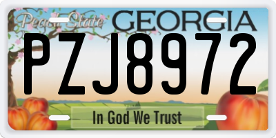 GA license plate PZJ8972