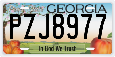 GA license plate PZJ8977