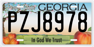 GA license plate PZJ8978