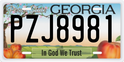 GA license plate PZJ8981