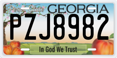 GA license plate PZJ8982