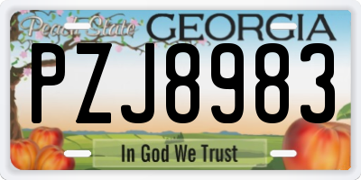 GA license plate PZJ8983