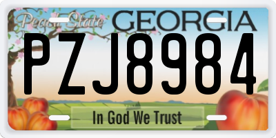 GA license plate PZJ8984