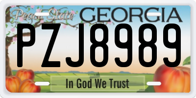 GA license plate PZJ8989
