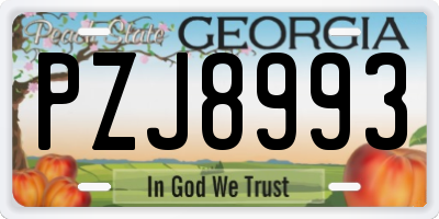 GA license plate PZJ8993