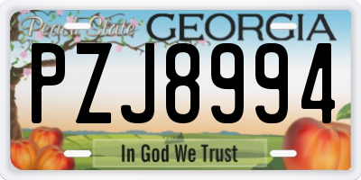 GA license plate PZJ8994