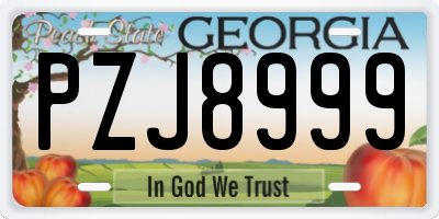 GA license plate PZJ8999