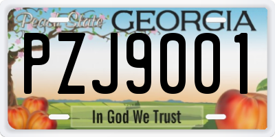 GA license plate PZJ9001