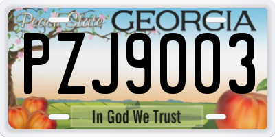 GA license plate PZJ9003