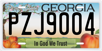 GA license plate PZJ9004