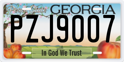 GA license plate PZJ9007