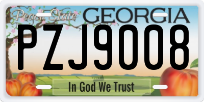 GA license plate PZJ9008