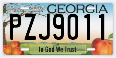 GA license plate PZJ9011
