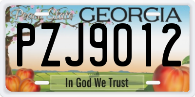 GA license plate PZJ9012