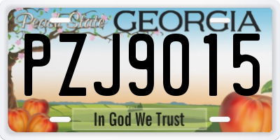 GA license plate PZJ9015