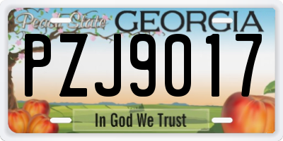 GA license plate PZJ9017