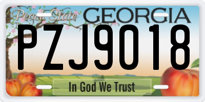 GA license plate PZJ9018