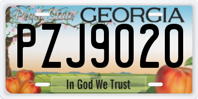 GA license plate PZJ9020