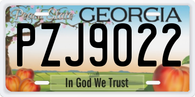 GA license plate PZJ9022