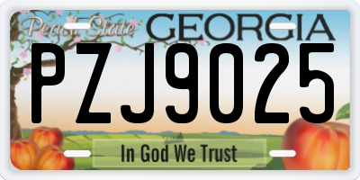 GA license plate PZJ9025