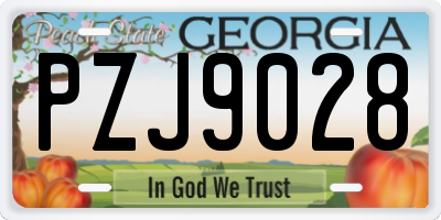 GA license plate PZJ9028