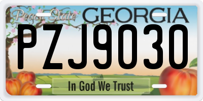 GA license plate PZJ9030