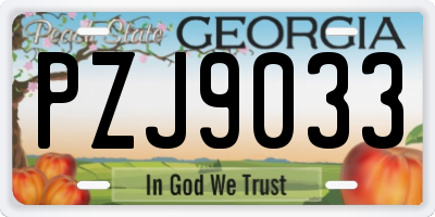 GA license plate PZJ9033