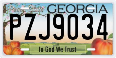 GA license plate PZJ9034