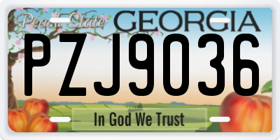 GA license plate PZJ9036