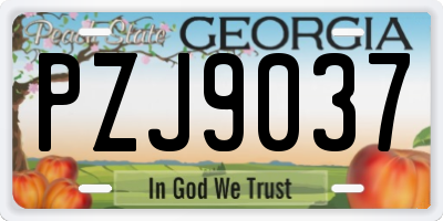 GA license plate PZJ9037