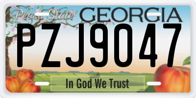 GA license plate PZJ9047