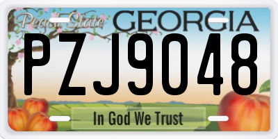 GA license plate PZJ9048