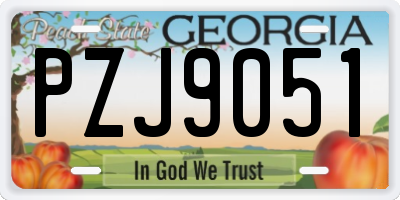 GA license plate PZJ9051