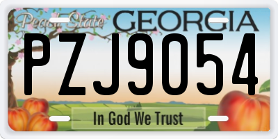 GA license plate PZJ9054
