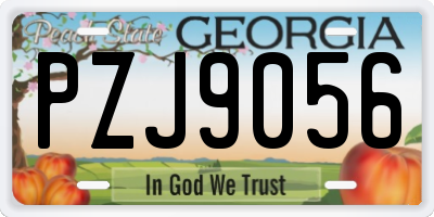 GA license plate PZJ9056