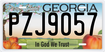 GA license plate PZJ9057